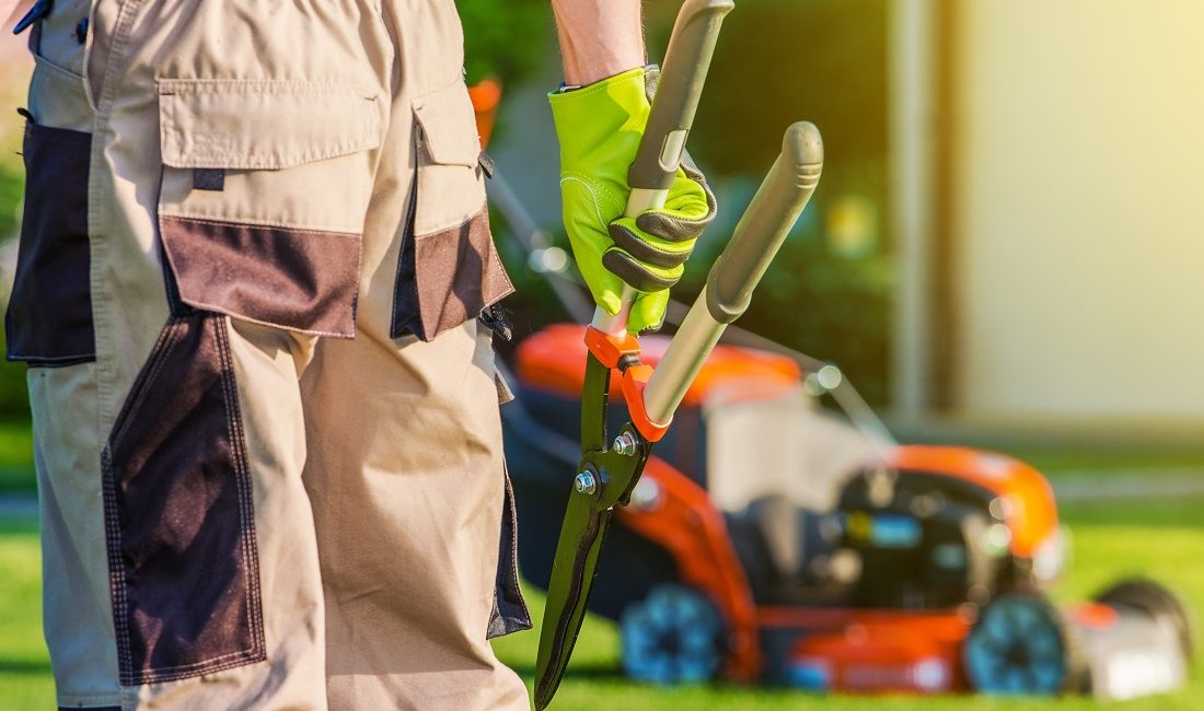 Why Hire Professional Gardening Services?