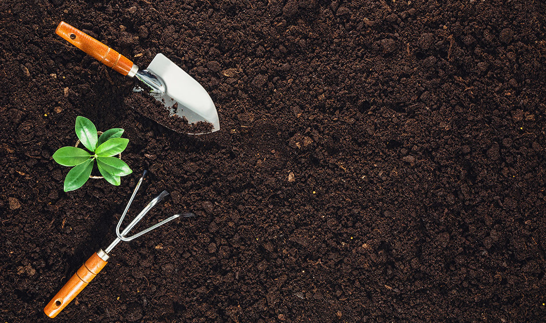 The Best Soil For Gardening