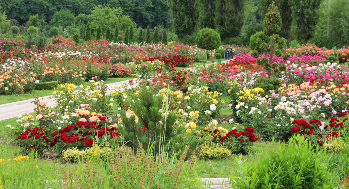 Your Month-By-Month Checklist Of What To Do In The Garden And When In 2020