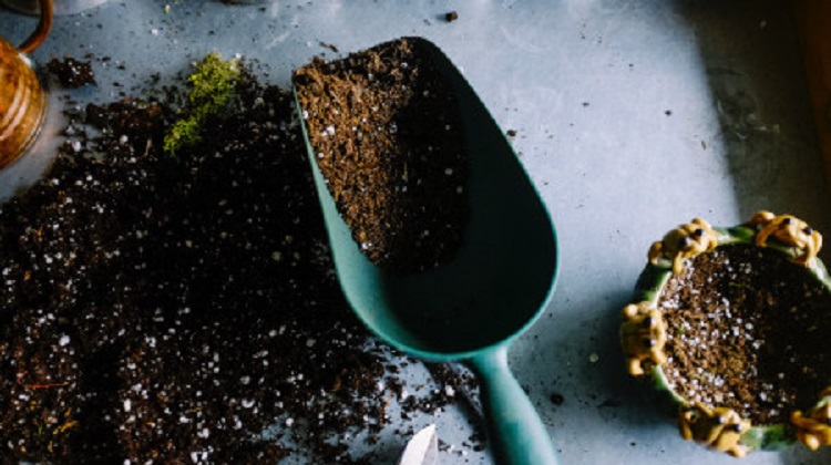 Garden Planting Services