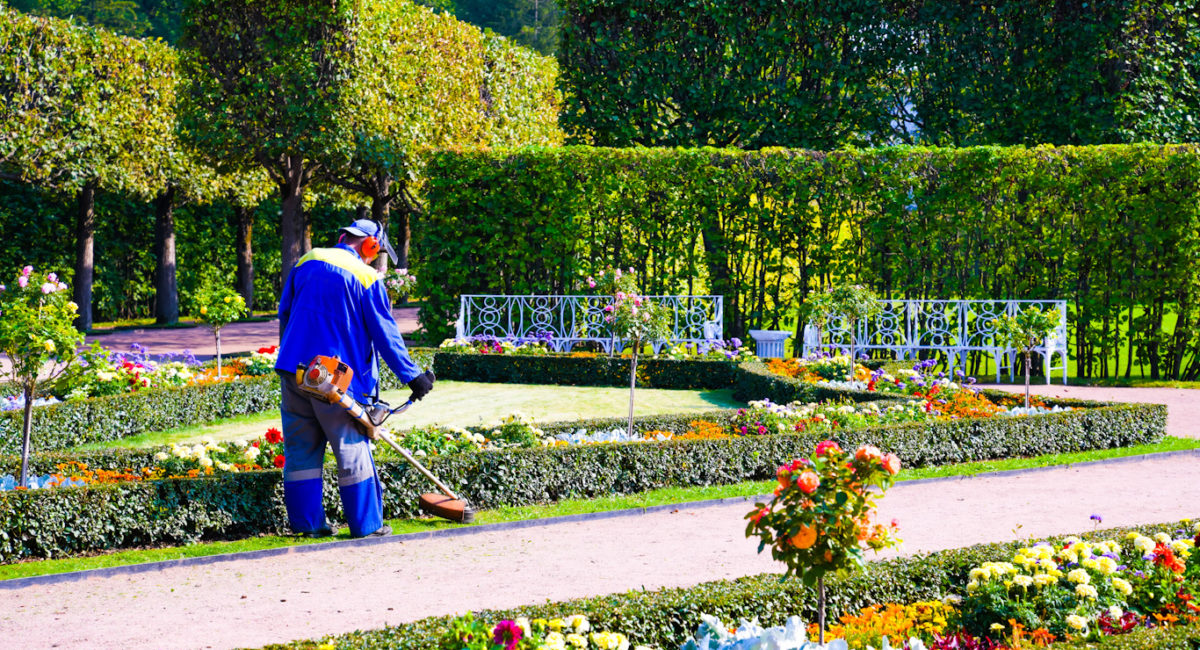 Five Reasons Why You Should Hire A Professional Garden Service Maintenance