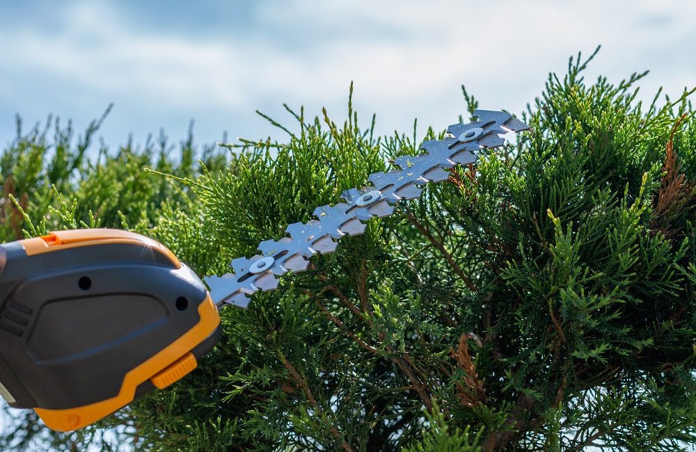 How Does Zero Emission Gardening Work | ZEG